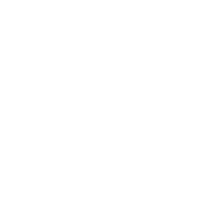 Terra Mater WILD logo